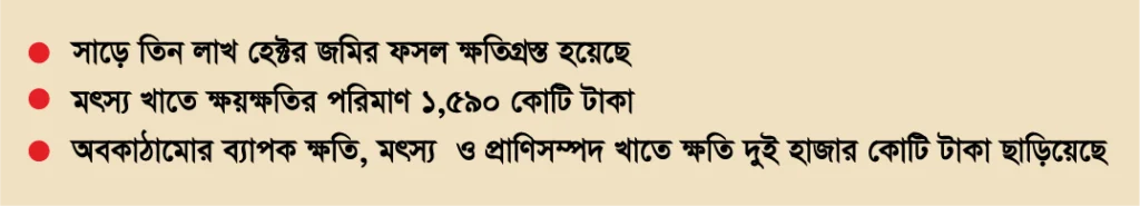 বন্যায় ক্ষতি ২০ হাজার কোটি টাকা ছাড়াবে 6 tit pin 1