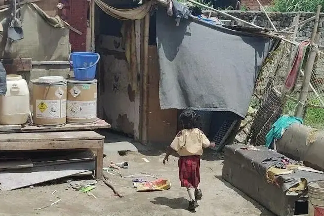 দিল্লির স্কুলে ভর্তি হতে পারবে না অবৈধ বাংলাদেশি ও রোহিঙ্গারা 6 Dilhi