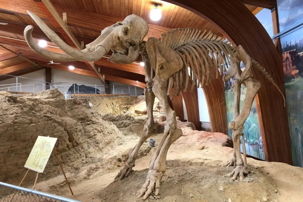 খোঁজ মিলল বরফ যুগের খাদ্য তালিকার 6 ice age 2