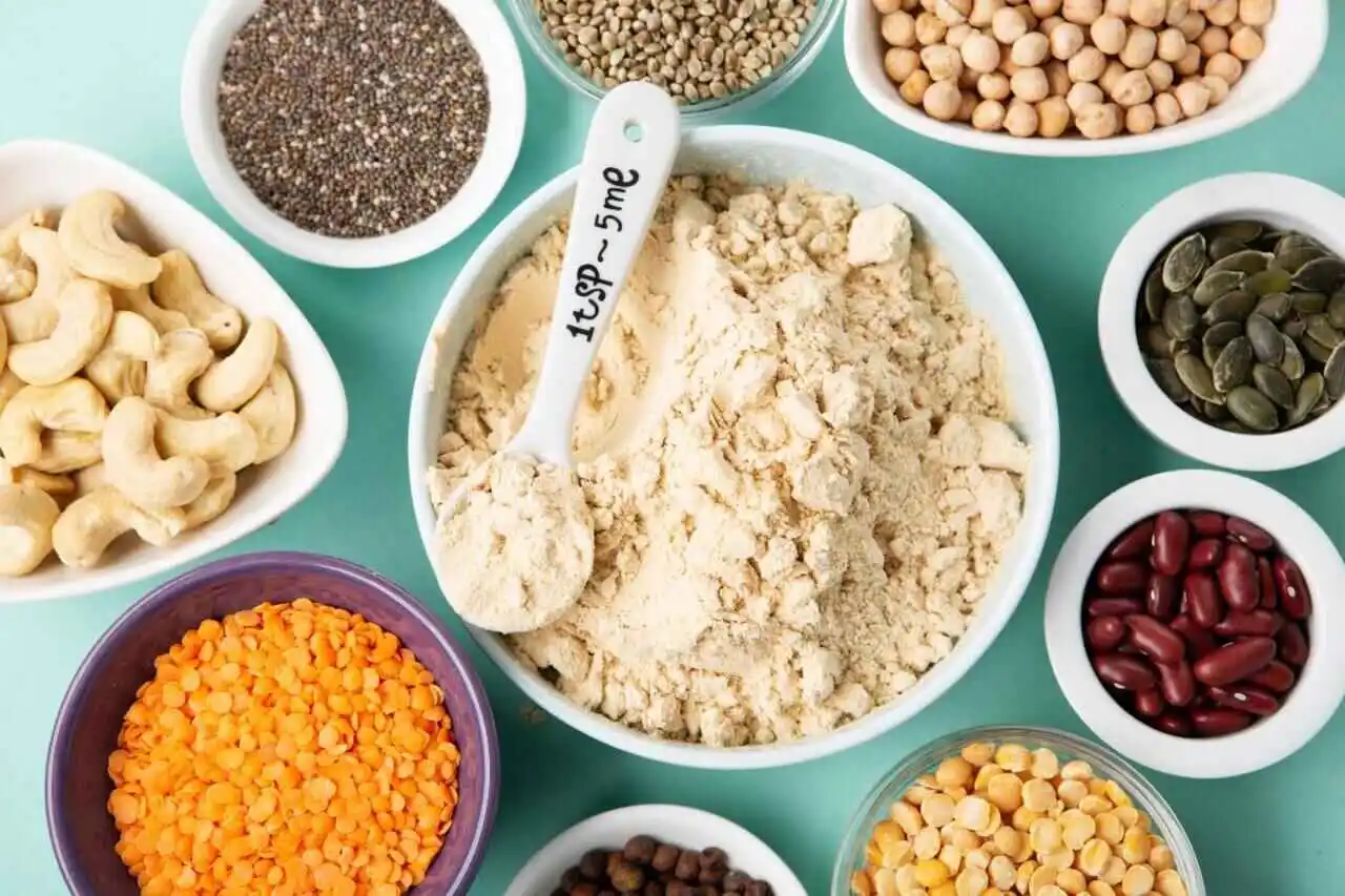 ঘরে যেভাবে বানাবেন প্রোটিন পাউডার 6 homemade protein powder
