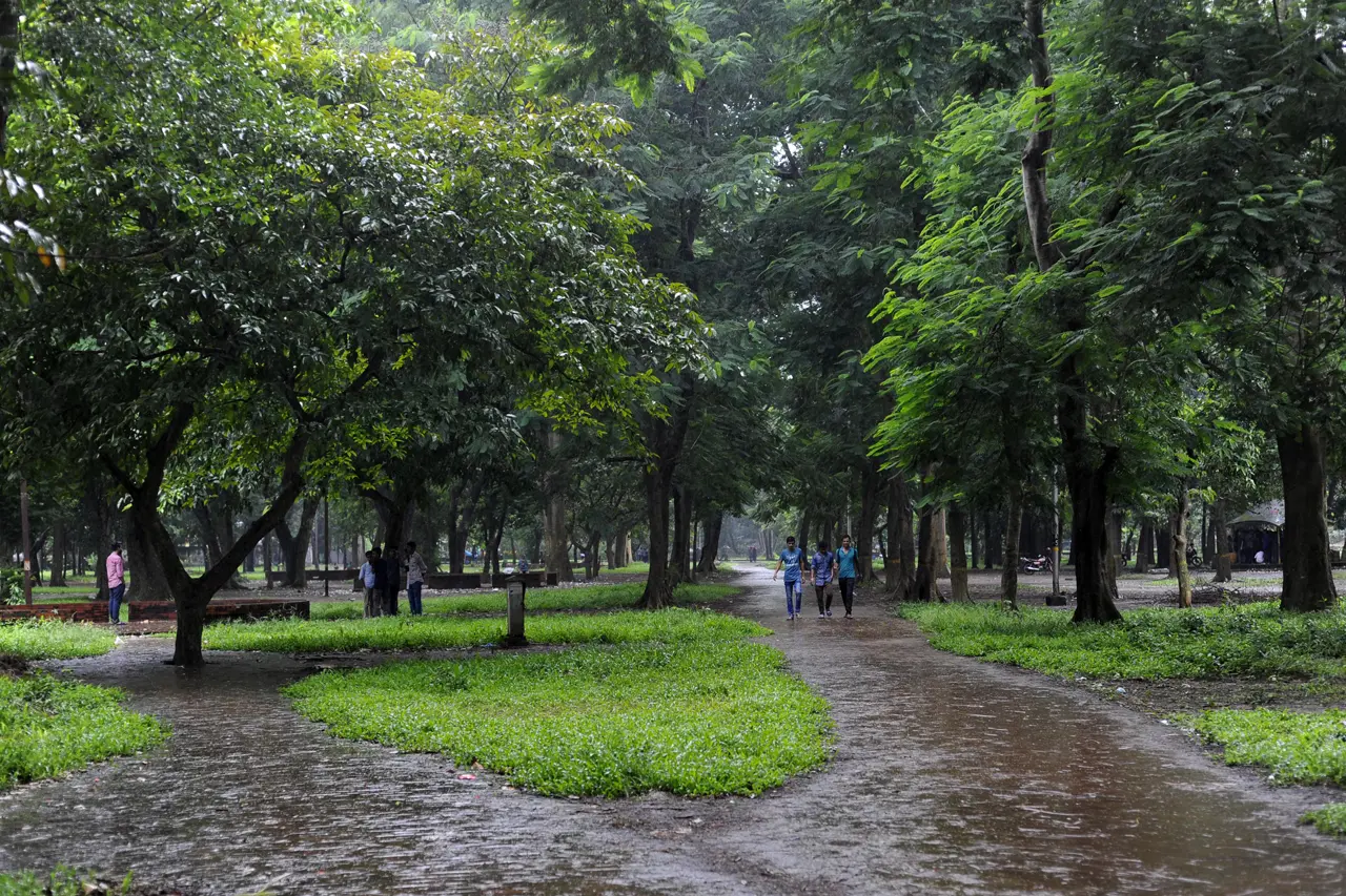 park