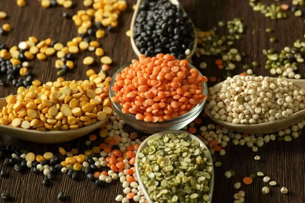 প্রতিদিন ডাল খাওয়া কি ভালো? 6 different types of lentils