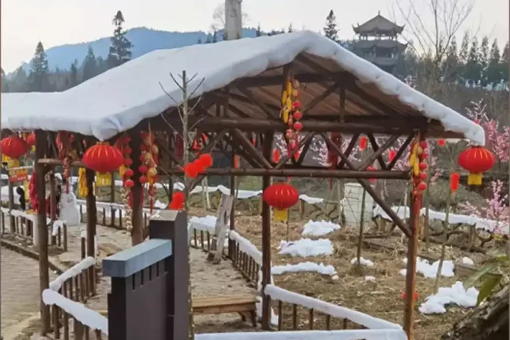 নকল তুষারপল্লীর জন্য ক্ষমা চাইল চীন 6 নকল স্নো