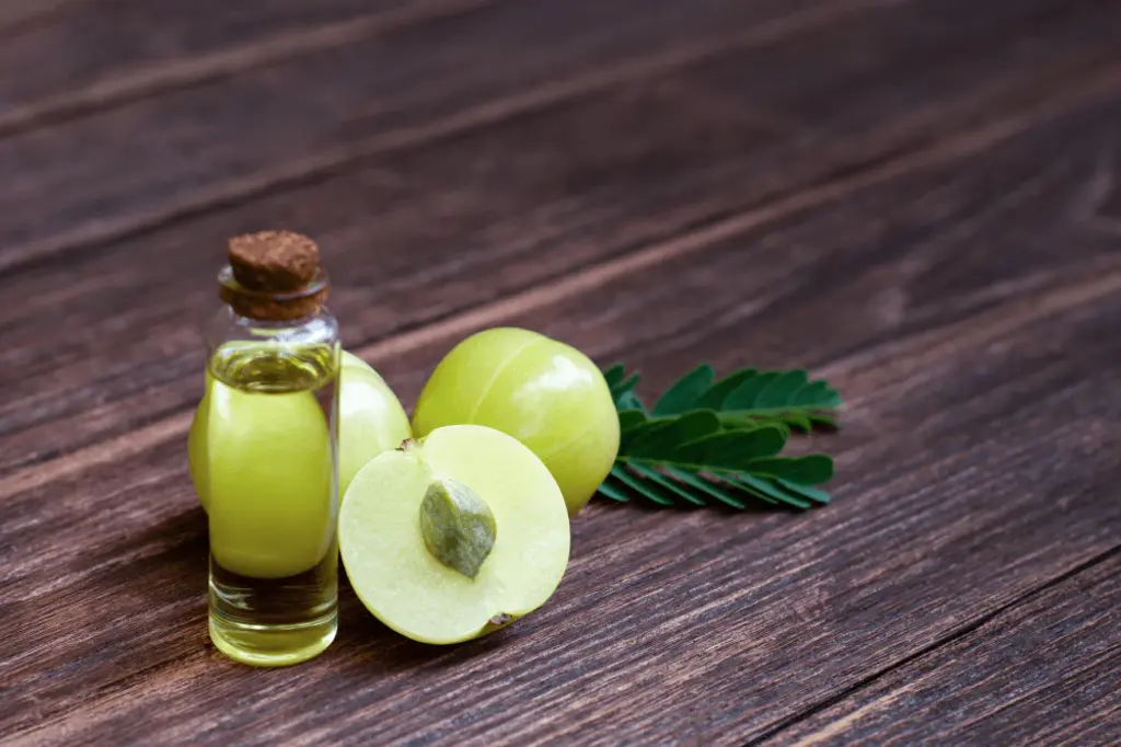 এই সময়ে চুল পড়া রোধে আমলার টনিক 7 How does Amla oil benefit hair g