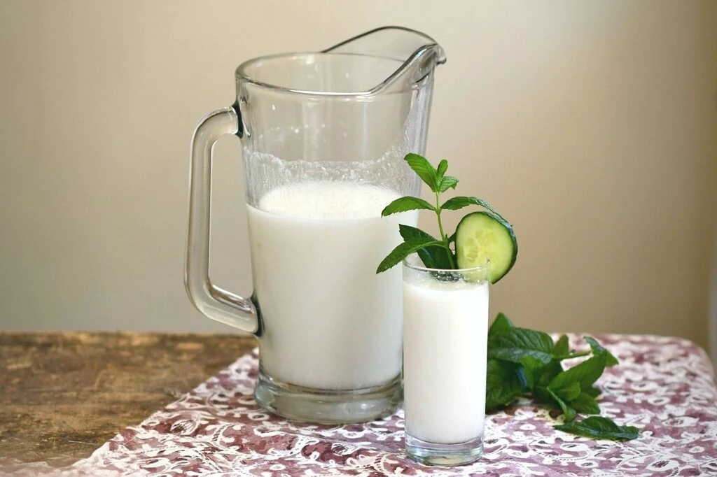 পানিশূন্যতা রোধে ইফতারে পান করুন মাঠা 6 Middle Eastern Yogurt Drink Ayra