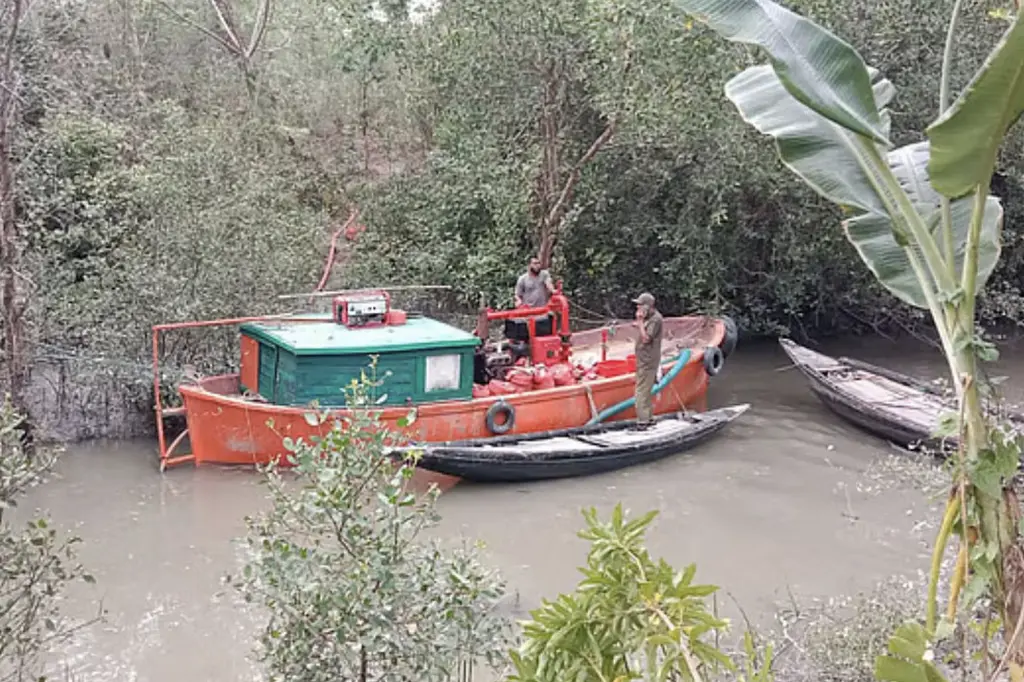 সুন্দরবনের আগুন নিয়ন্ত্রণে 6 সুন্দর বন