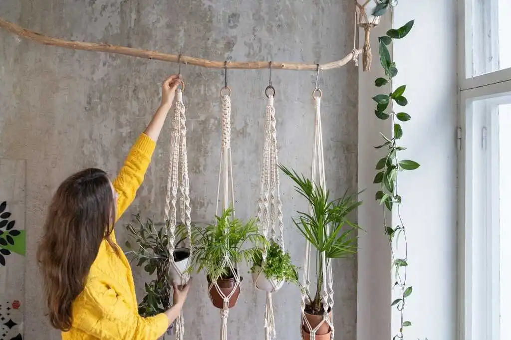 প্রচণ্ড গরমেও প্রিয় ঘর শীতল রাখবেন যেভাবে 8 Woman Hanging Plants for Home De