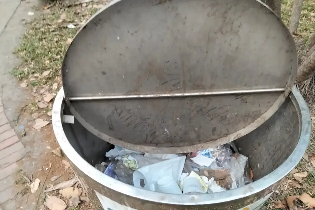 ফেলনা প্লাস্টিকের বোতল বেচে পেট চলে তাদের 8 dustbin