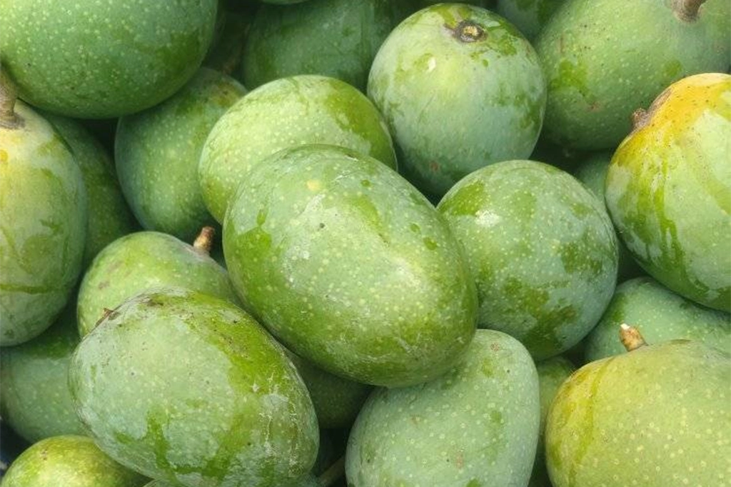 ফলের রাজা আমের বাহারি নাম কীভাবে এলো? 7 Gopalbhog