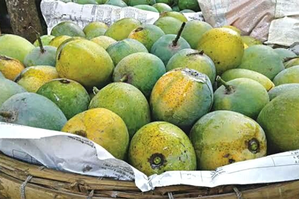 ফলের রাজা আমের বাহারি নাম কীভাবে এলো? 10 Khirshapat