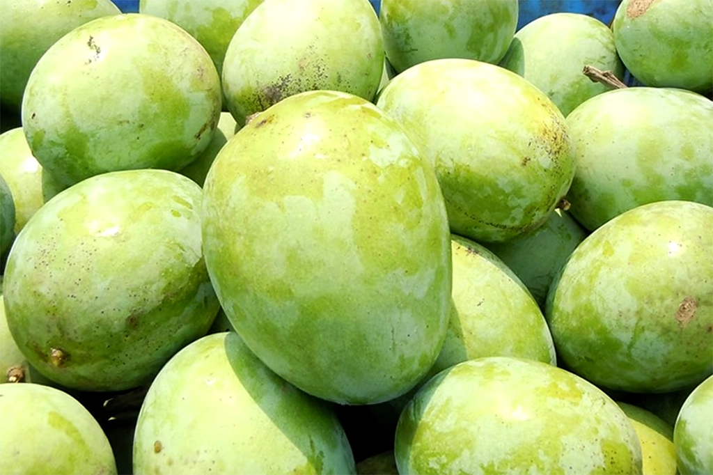 ফলের রাজা আমের বাহারি নাম কীভাবে এলো? 12 Langra
