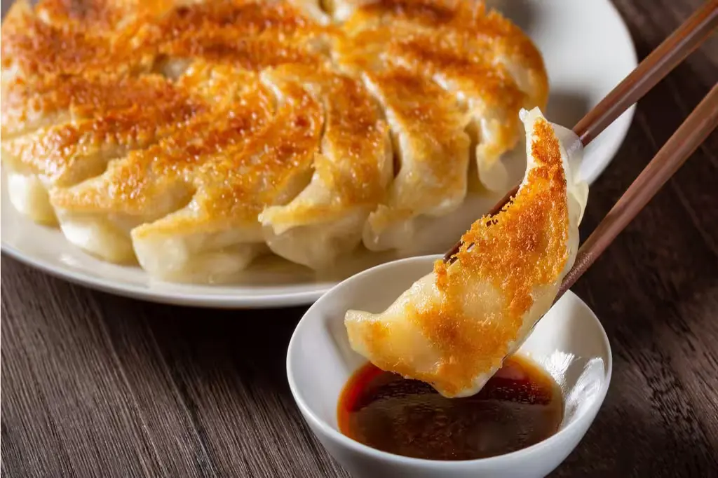 ডামপ্লিংয়ের বৈচিত্র্যময় দুনিয়া 8 Vegetarian tofu gyoza