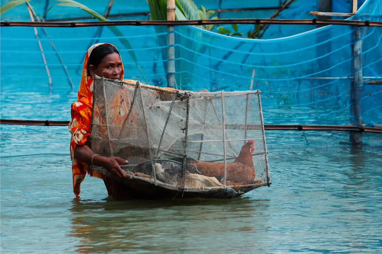 ছবি গপ্পো: নো আর্ক, পরিবর্তনশীল জলবায়ুতে ধর্মীয় বিশ্বাসের লড়াই 8 d copy