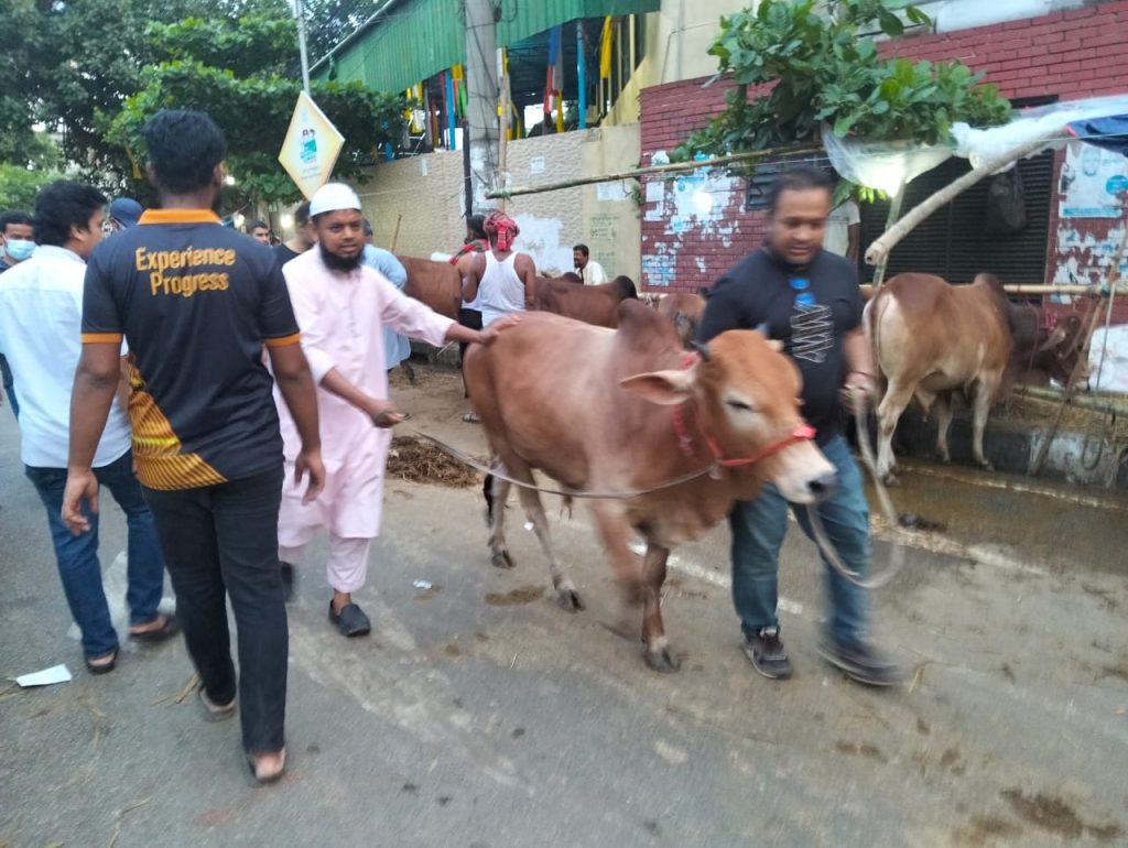 লাখের নিচে গরু নেই ঢাকার এই পশুর হাটে 7 cow3