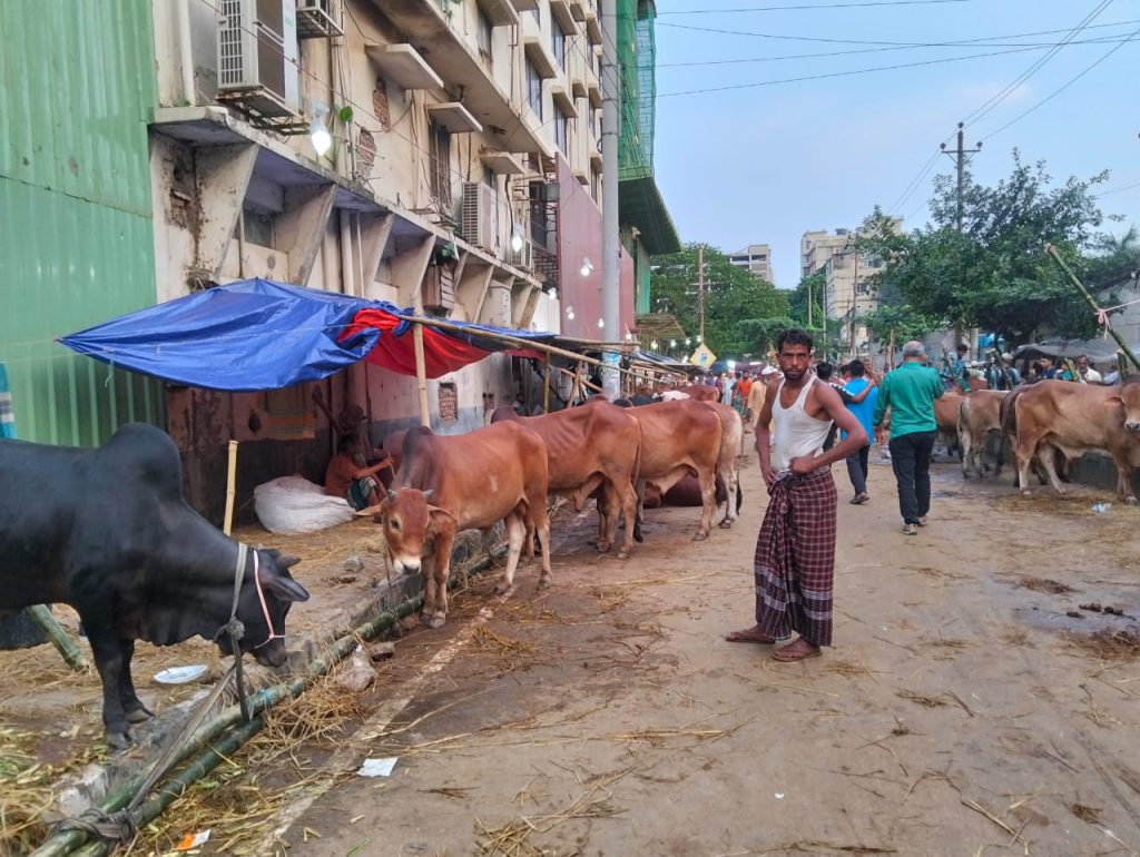 লাখের নিচে গরু নেই ঢাকার এই পশুর হাটে 8 cow5