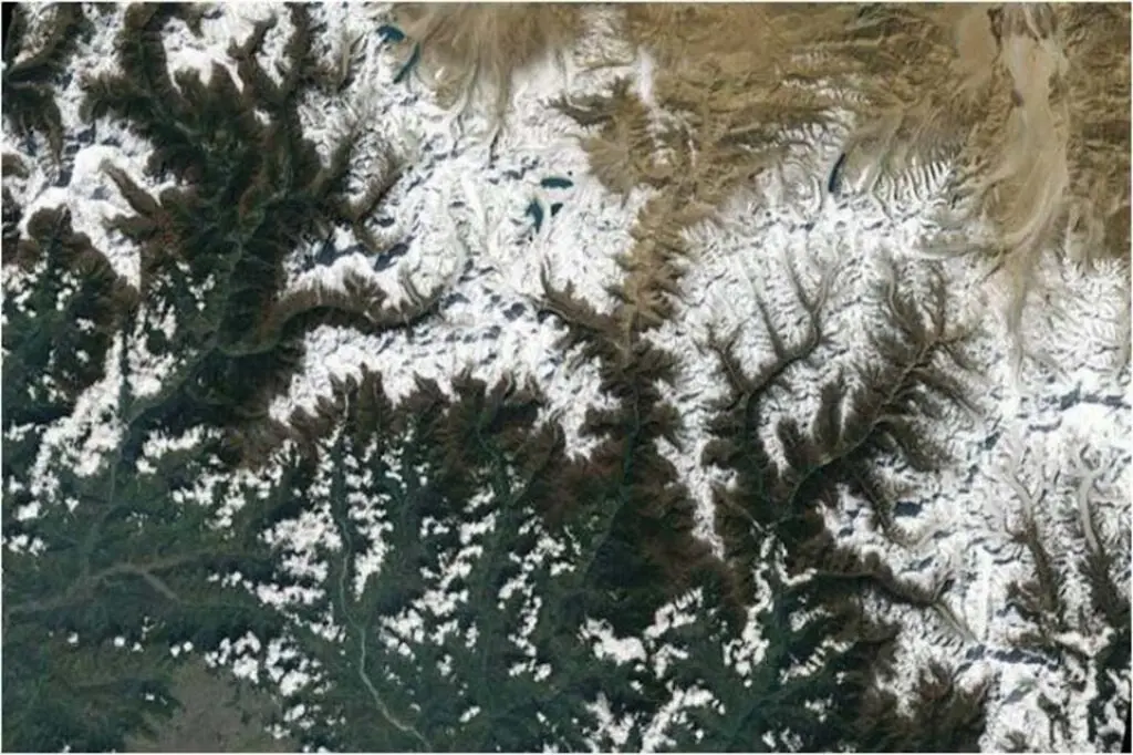 মহাকাশ থেকে দৃশ্যমান পৃথিবীর স্থানসমূহ 7 forest