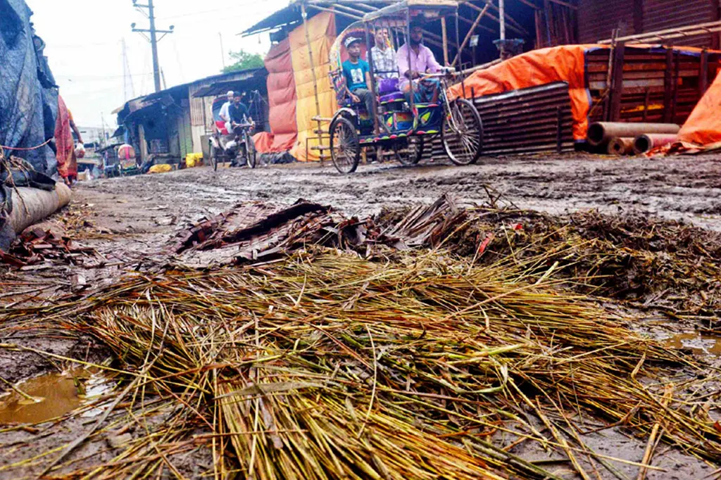 কোরবানির বর্জ্য